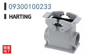 09300100233