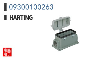 09300100263