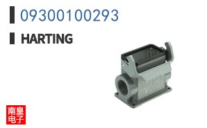 09300100293
