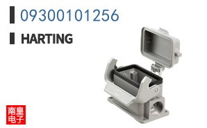 09300101256