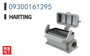 09300161295