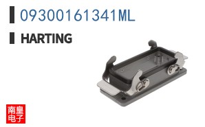 09300161341ML