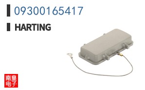 09300165417