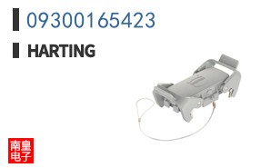 09300165423