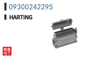 09300242295