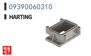 09390060310