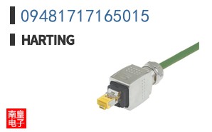 09481717165015