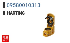 09580010313