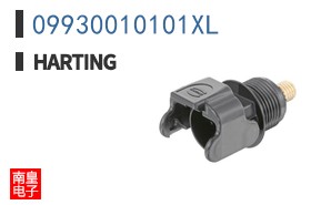 09930010101XL