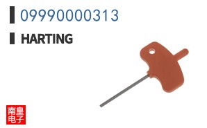 09990000313