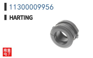 11300009956
