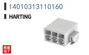 14010313110160