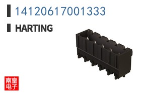 14120617001333