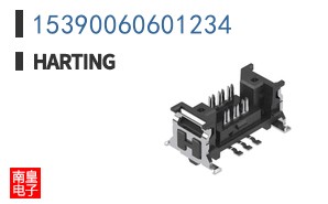 15390060601234