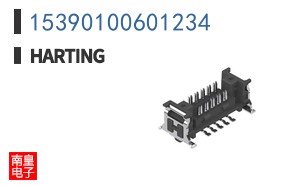 15390100601234