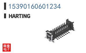 15390160601234