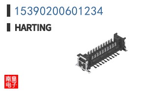 15390200601234