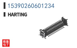 15390260601234