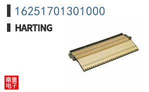 16251701301000