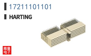17211101101