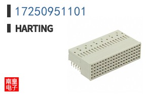 17250951101