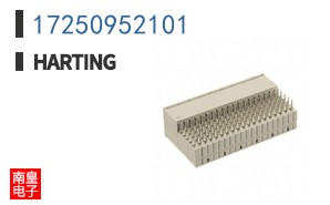17250952101