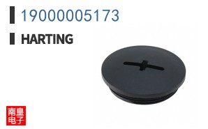 19000005173