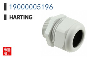 19000005196