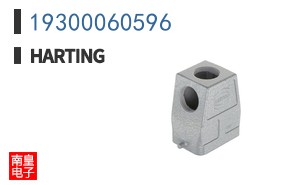 19300060596
