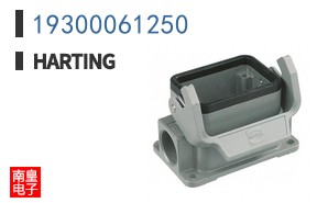 19300061250