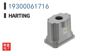 19300061716
