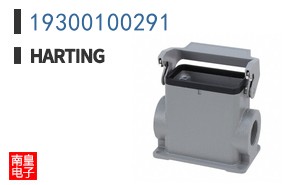 19300100291