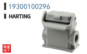 19300100296