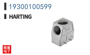 19300100599