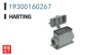 19300160267
