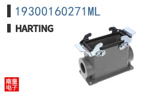 19300160271ML