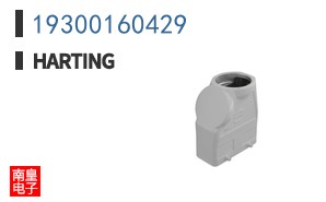19300160429
