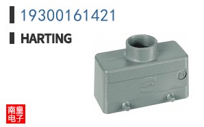 19300161421