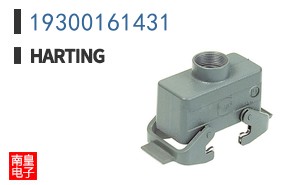19300161431