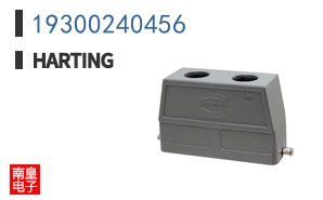 19300240456