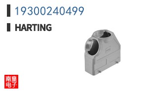 19300240499