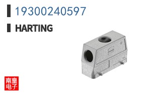 19300240597
