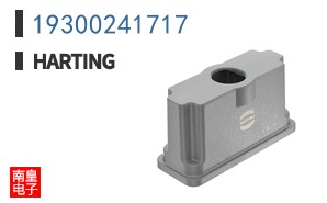 19300241717