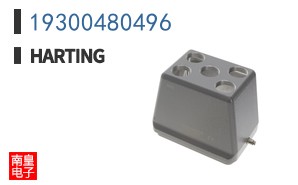 19300480496