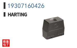 19307160426