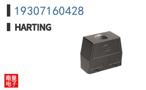19307160428