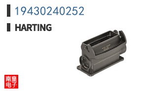 19430240252