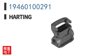 19460100291