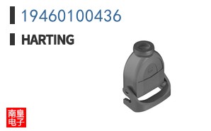 19460100436