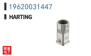 19620031447